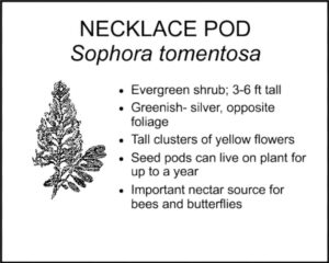 NECKLACE POD